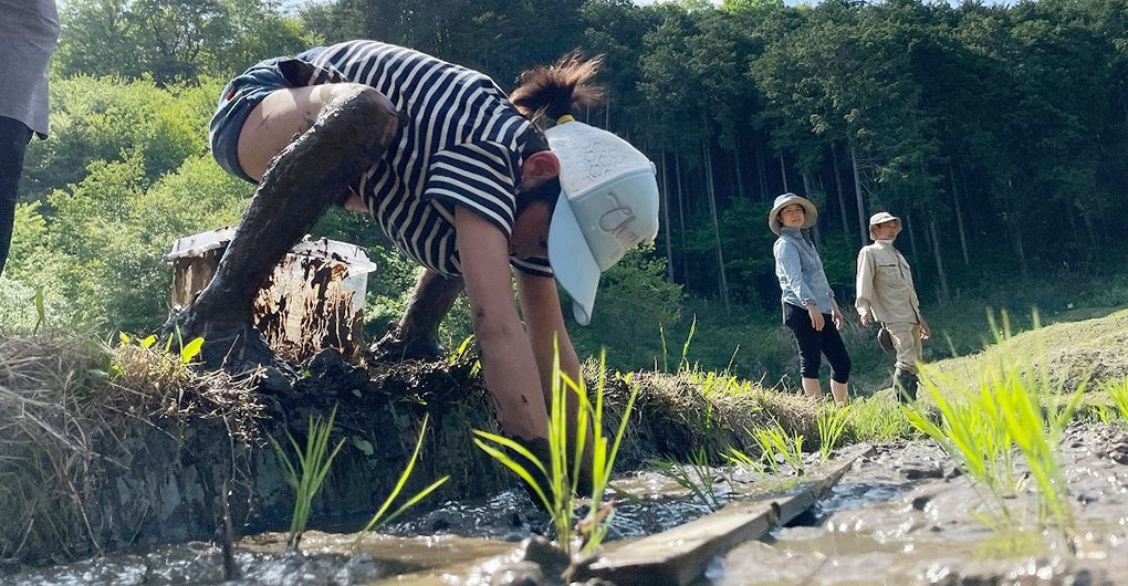 新米プレゼント付き！親子里山体験あそび～田植え～