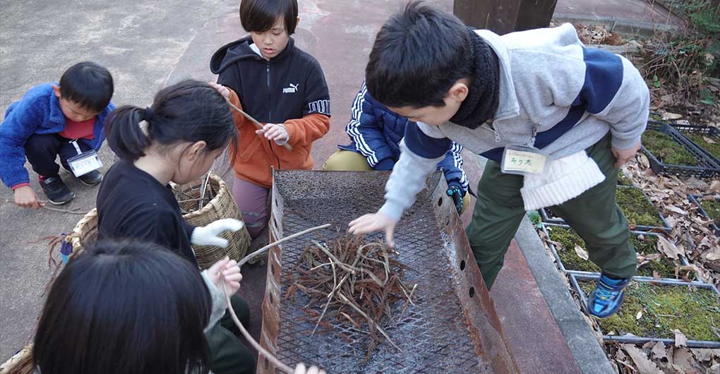 どんぐりの森 わんぱくたんけん隊