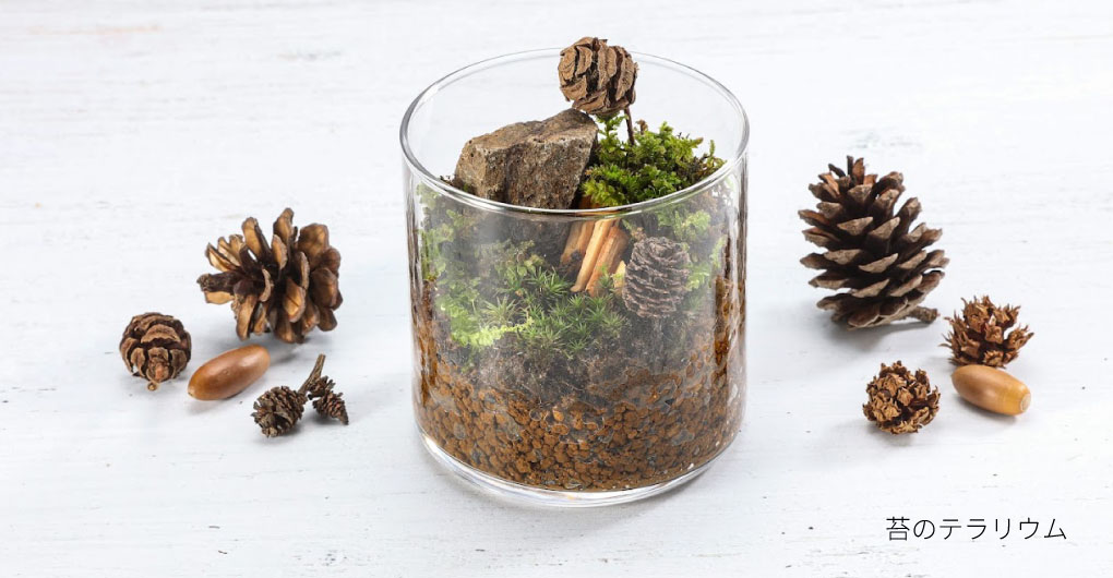 ハローウッズの素材でつくるものづくり体験