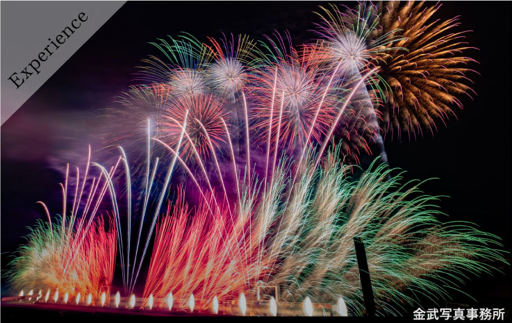 どんぐり広場サイト～花火の祭典プラン～