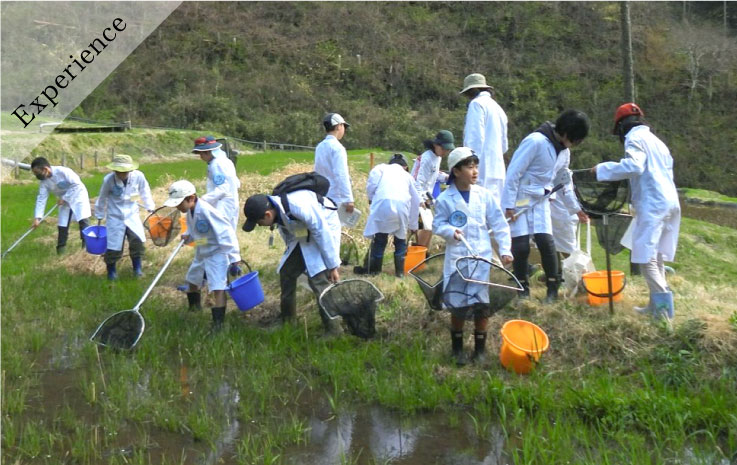 【会員制】水生生物キッズ研究員