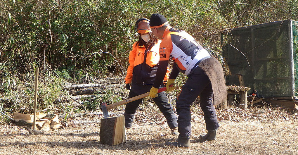 Forest Creation Workshop ~ Logging ~