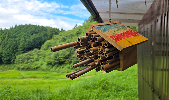 Parent-child mountain experience play