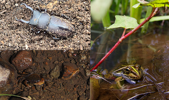 Parent-child mountain experience play