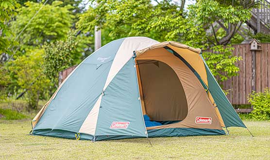 Creature Search Family Camp – Firefly Viewing and Early Summer Creatures Edition –