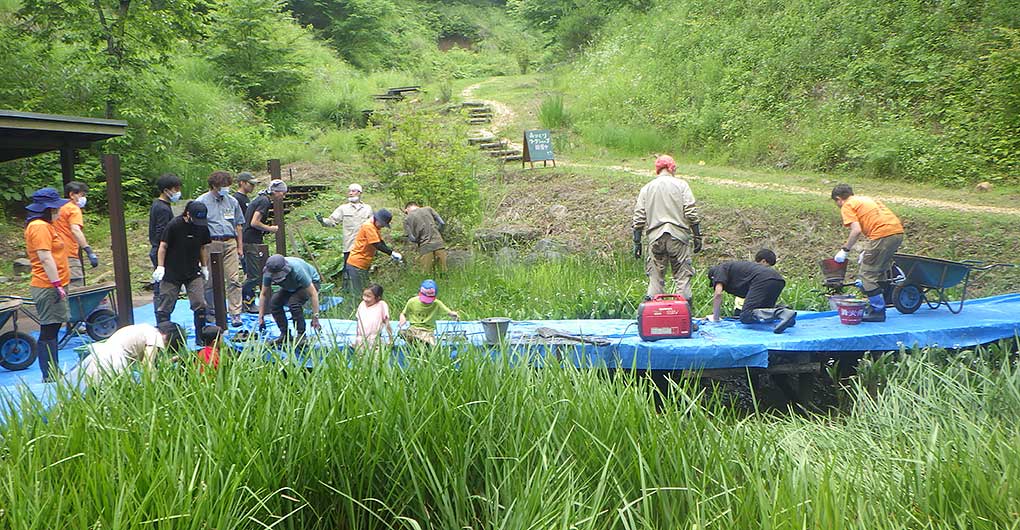 Forest Creation Workshop ~Dredging~