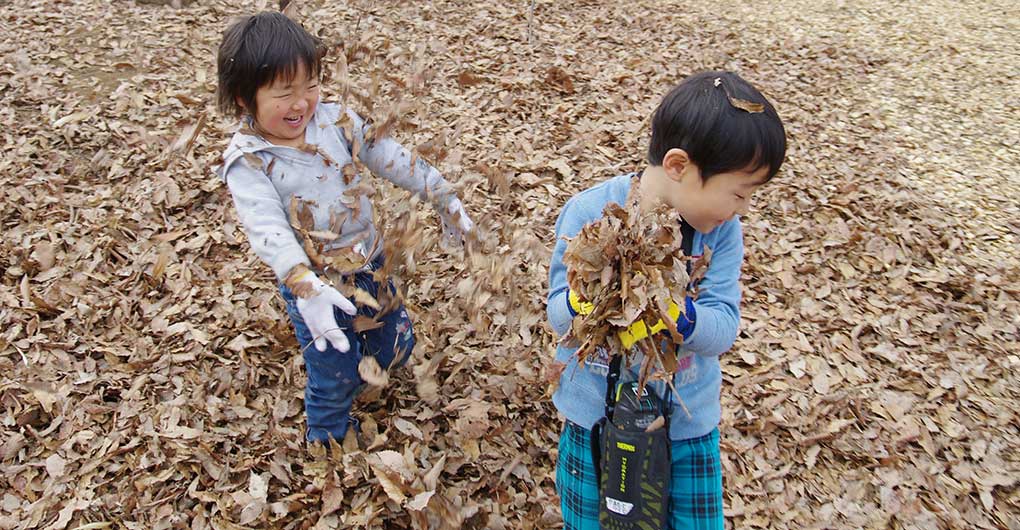 Acorn Forest Playful Exploration Team