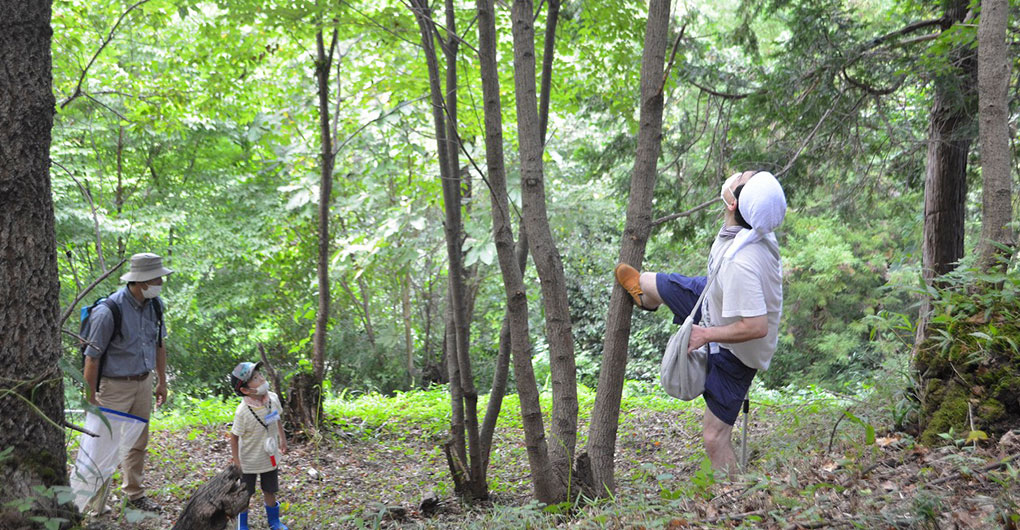 [Guests Only] Morning Insect Collecting Tour