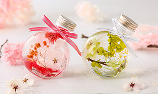 Cherry Blossom Herbarium