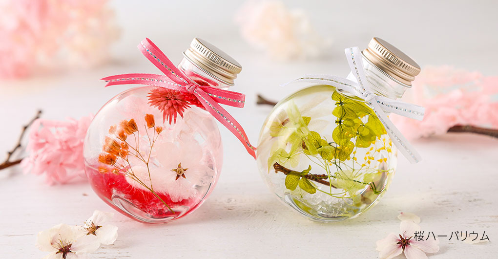 Crafting experience using Hello Woods materials