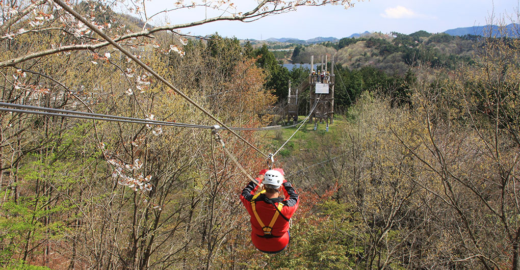 [For Lodgers Only] Soaring Through the Morning Forest: "Forest Zipline, Musasabi"