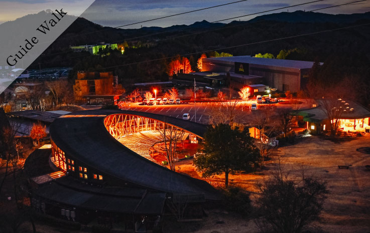 Exclusive for Forest and Starry Sky Camping Village Guests! Wonder Night Tour