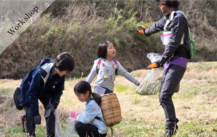 Forest Creation Workshop - Starting in the Spring Satoyama
