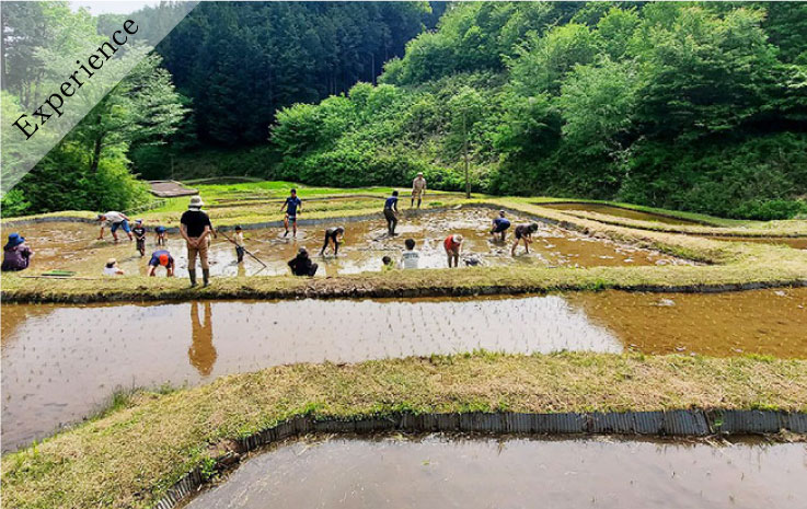 Includes a New Rice Gift! Parent-Child Satoyama Experience Play – Rice Planting –