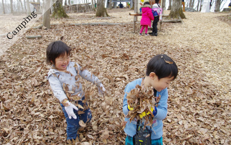 Acorn Forest Playful Exploration Team