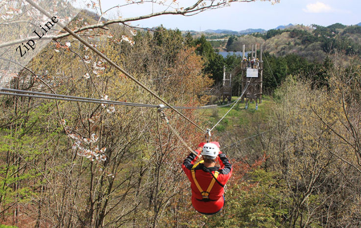 "Forest Zipline, Musasabi" soaring through the morning forest