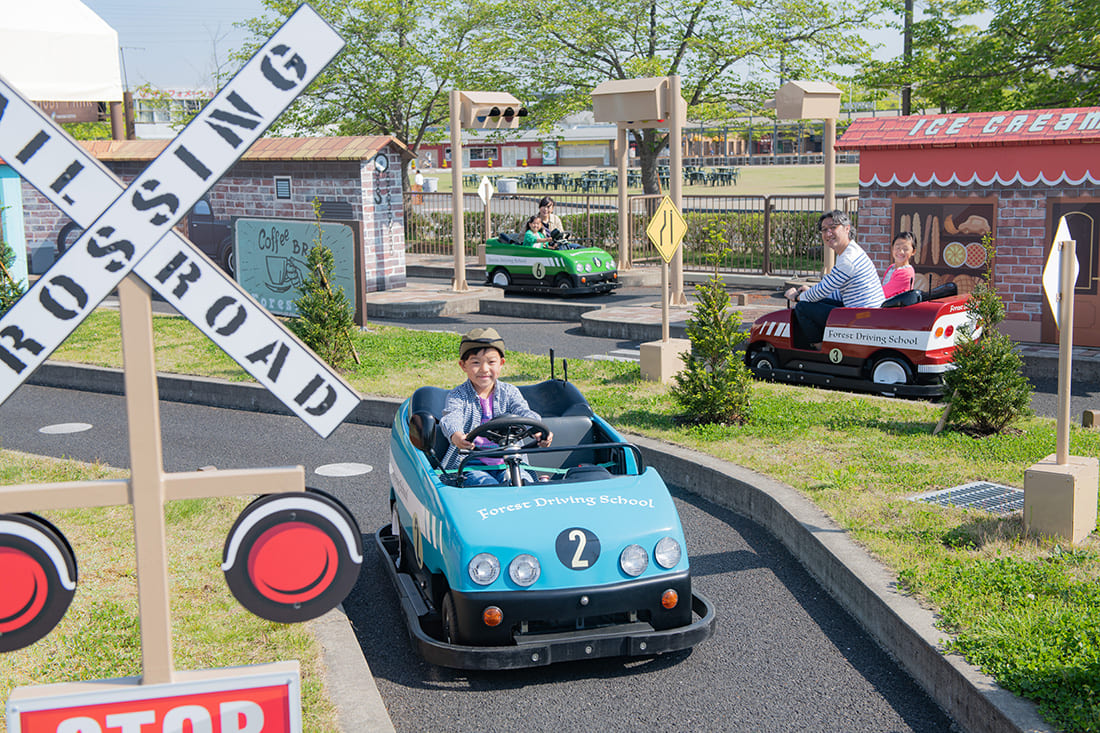 Forest Driving School