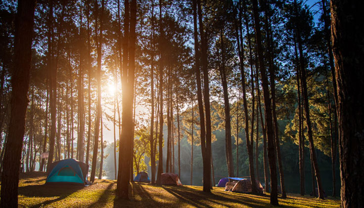 Want to stay comfortable even in summer! What are the heat measures to enjoy summer camping?