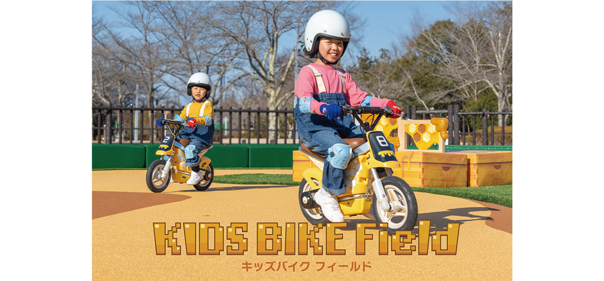 Popcorn Making Experience Plan