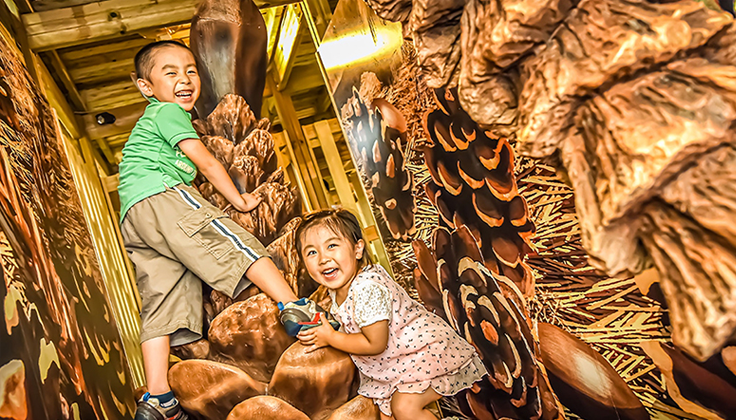 Maze Palace in the Wood, ITADAKI