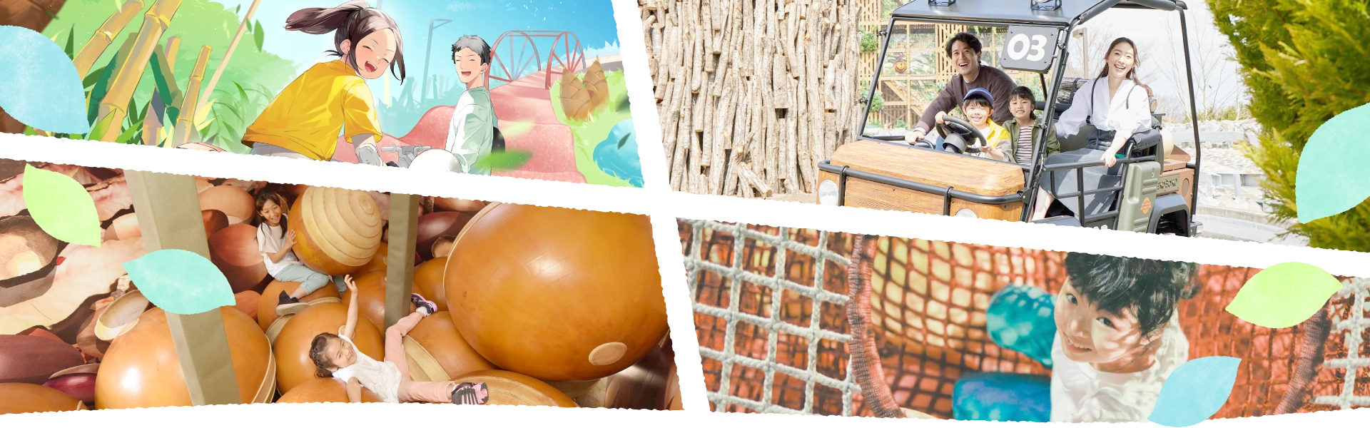 Whole Enjoy Family Plan