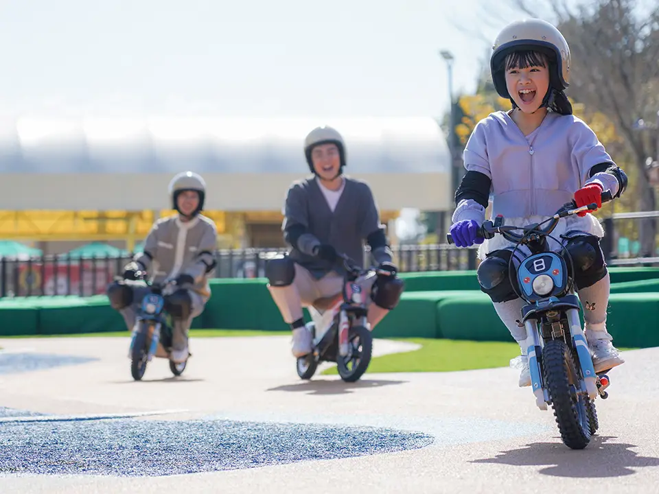 Special Day Passport