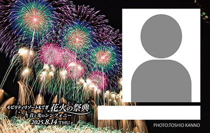 Fireworks License Card