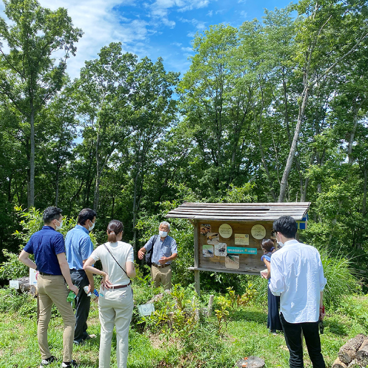 Visited Hello Woods Forest