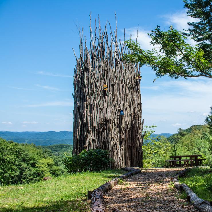 Visited Hello Woods Forest