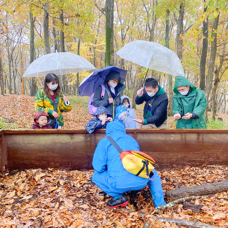 Visited Hello Woods Forest in the autumn rain