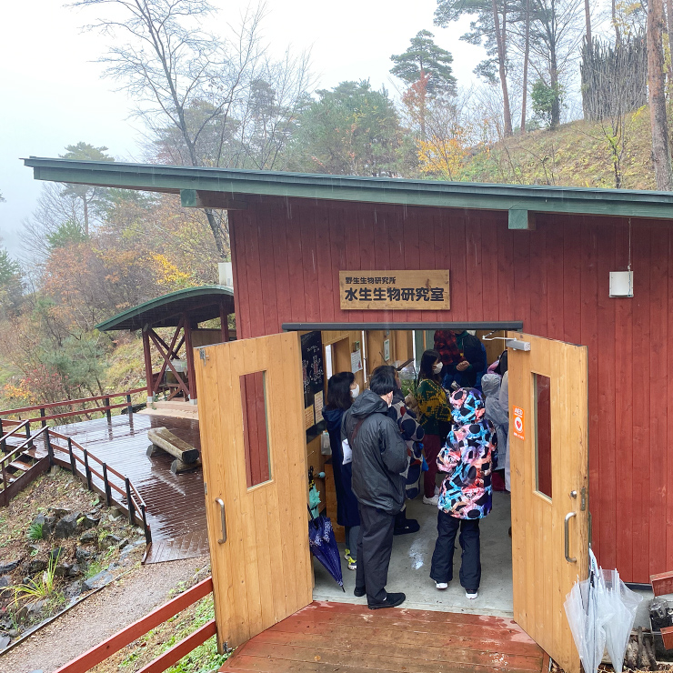 Visited Hello Woods Forest in the autumn rain