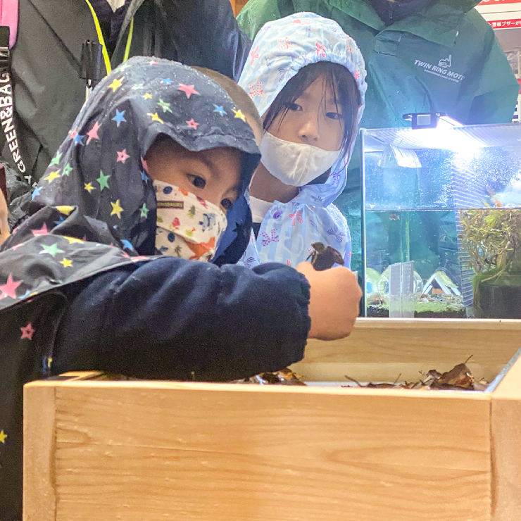 Visited Hello Woods Forest in the autumn rain