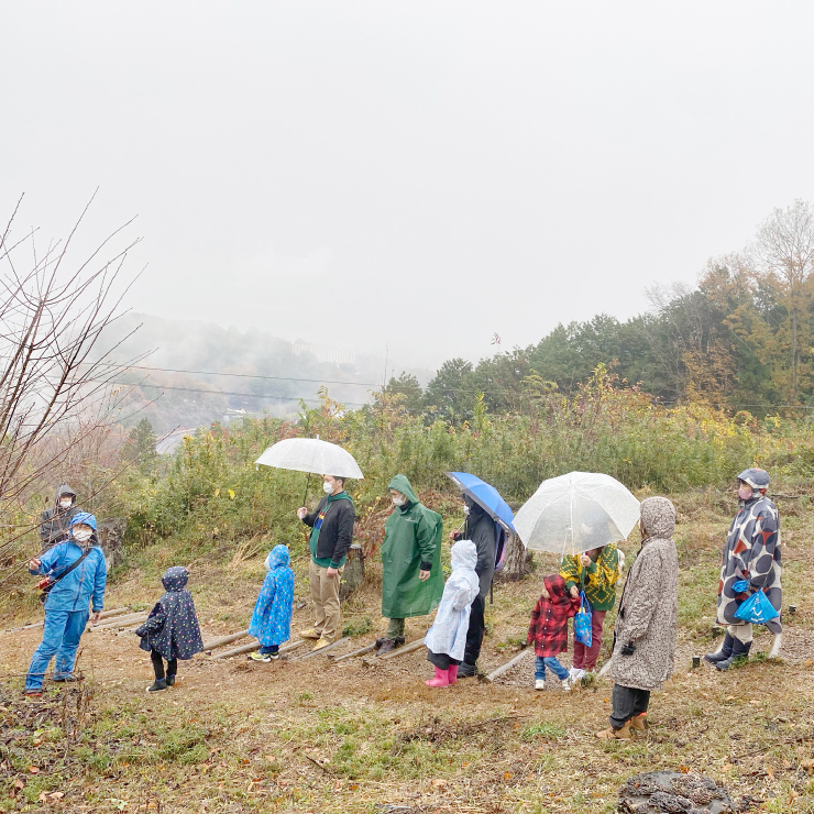 Visited Hello Woods Forest in the autumn rain