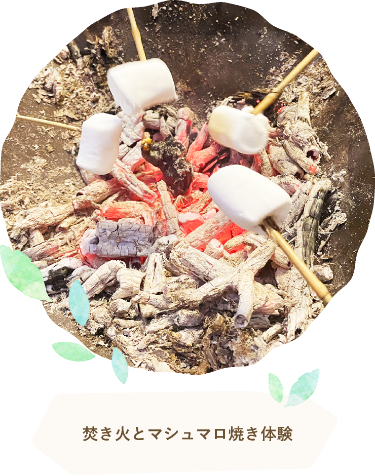 Bonfire and Marshmallow Roasting Experience
