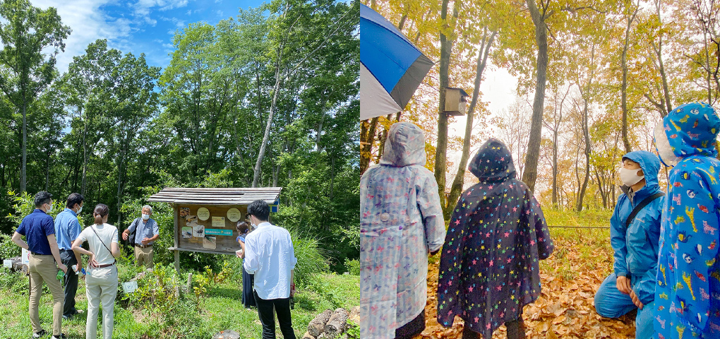 Visited Hello Woods Forest