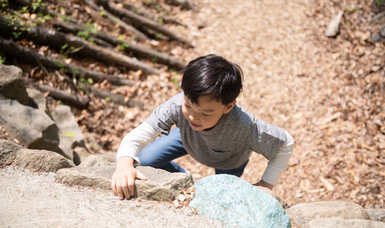 Lizard Rock Climbing