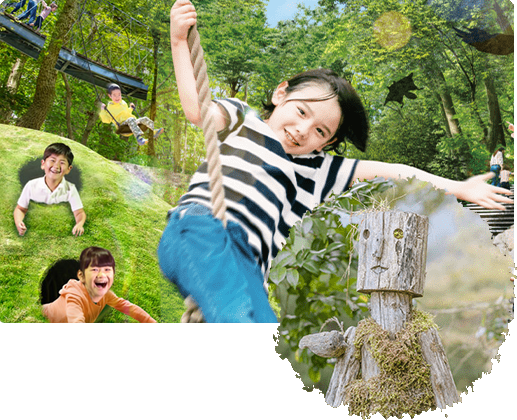 Forest Family Walk TEKUTEKU