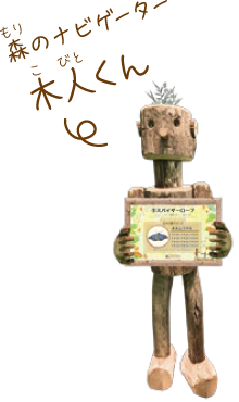 Forest Navigator Kojin-kun