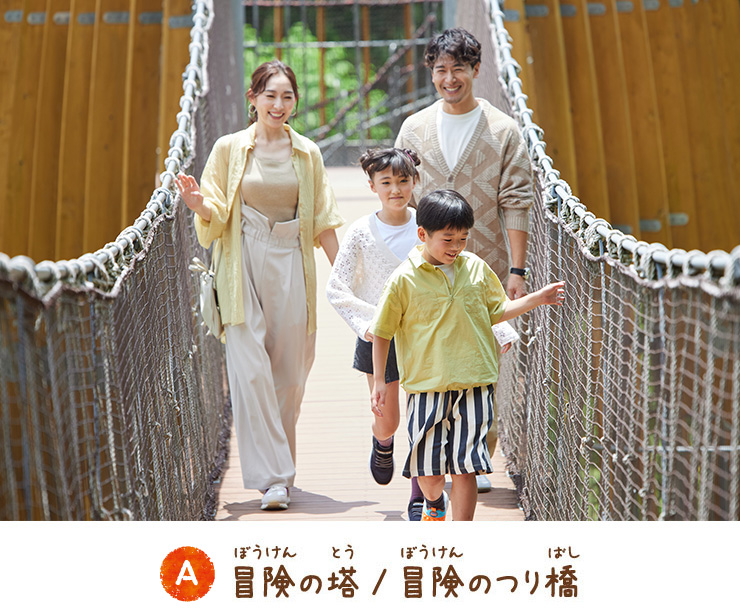 Adventure Tower / Adventure Suspension Bridge