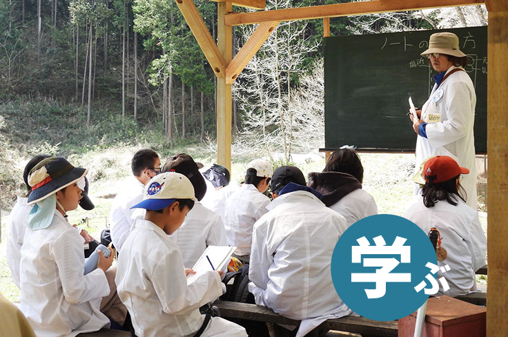 Aquatic Organism Research Image