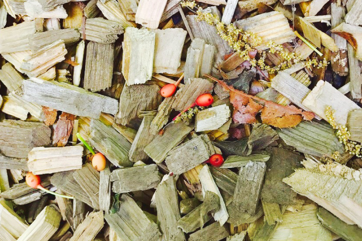 Mituri-kan's fertilization