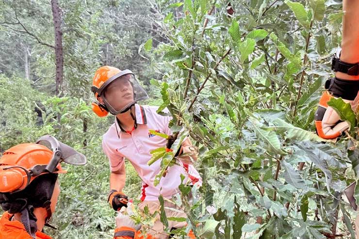 Forest Conservation Activities by Riders
