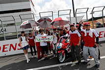 Gallery for "Mote tai" on Sunday, August 7th, 2016