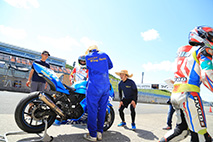 Gallery for "Mote tai" on Sunday, August 7th, 2016