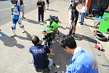 Gallery for "Mote tai" on Sunday, August 7th, 2016