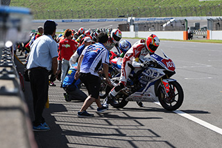 August 26, 2018 (Sun) "Mote tai" Gallery