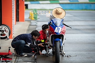 August 24, 2019 (Sat) "Mote tai" Gallery