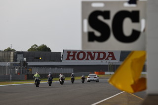 August 22, 2021 (Sun) "Mote tai" Gallery