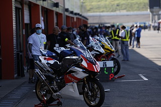 September 11, 2022 (Sun) "Mote tai" Gallery