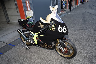 September 11, 2022 (Sun) "Mote tai" Gallery